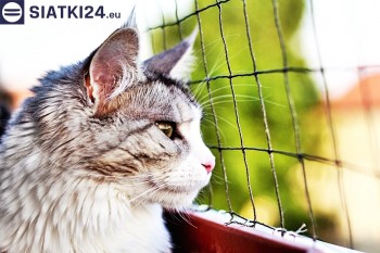 Siatki Siemiatycze - Siatka na balkony dla kota i zabezpieczenie dzieci dla terenów Siemiatycz