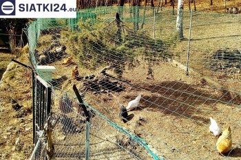 Siatki Siemiatycze - Siatka na woliery - zabezpieczenia ptaków w hodowli dla terenów Siemiatycz